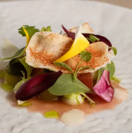 Untitled-design-2022-07-28T151018.249